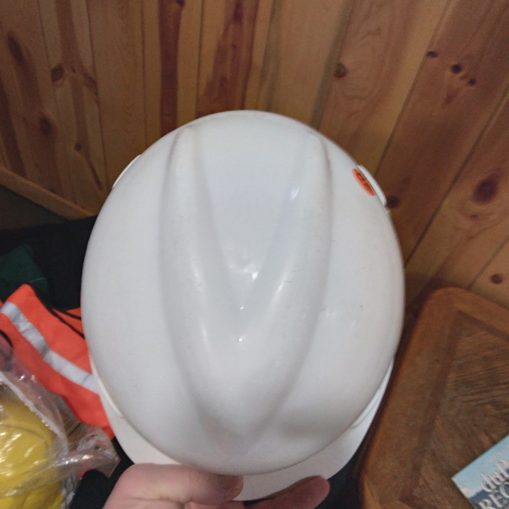 Hard Hat - Picture 5 of 7